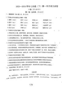 四川省成都市实外西区学校2023-2024学年七年级下学期4月月考语文试题
