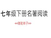 名著导读《骆驼祥子》：圈点与批注  课件