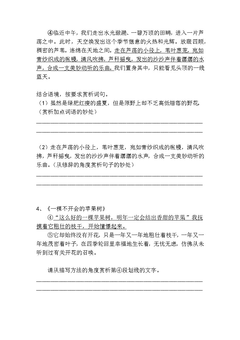 初中语文散文小说语言赏析高分技巧及梯度训练4第3页