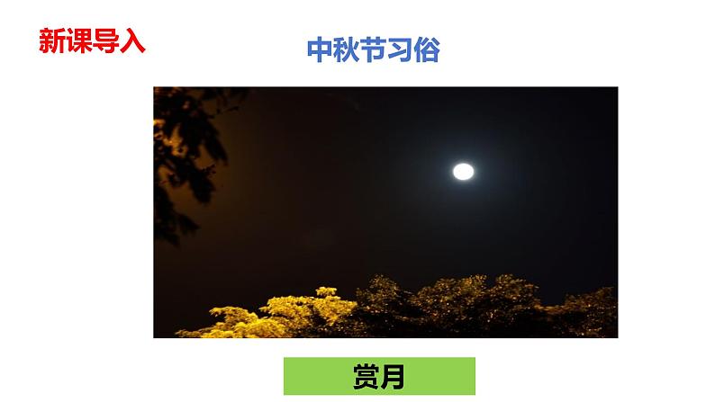 第四课 《古代诗歌三首 十五夜望月》第三课时（教学课件）-2023-2024学年四年级语文下册同步精品课堂系列（统编版·五四制）第5页