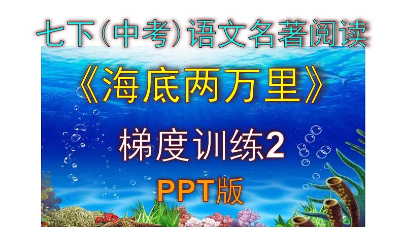 七下（中考）语文名著阅读《海底两万里》梯度训练2 PPT版第1页
