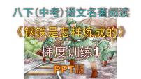 人教部编版八年级下册名著导读 《钢铁是怎样炼成的》：摘抄和做笔记集体备课ppt课件