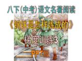 八下（中考）语文名著阅读《钢铁是怎样炼成的》梯度训练3 PPT版