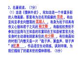 九下（中考）语文名著阅读《儒林外史》梯度训练4 PPT版