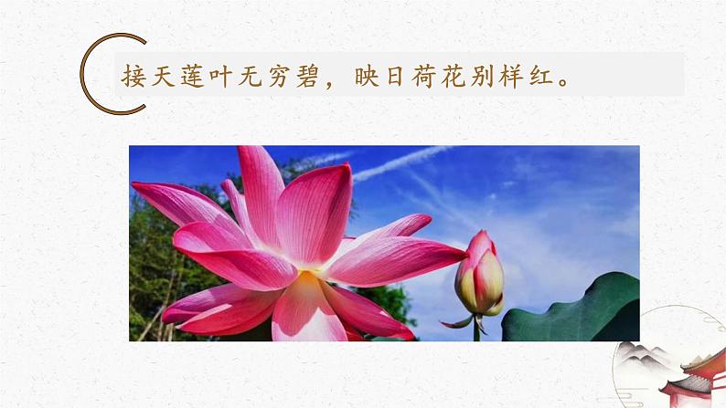 17短文两篇《爱莲说》教学课件-(同步教学)统编版语文七年级下册名师备课系列03