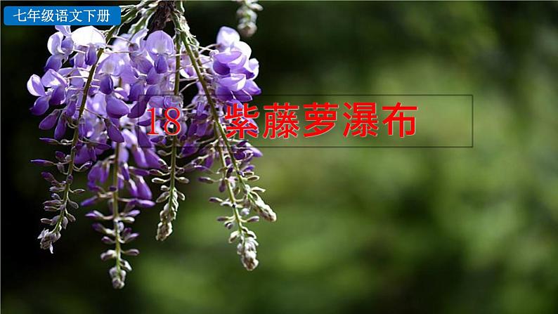 部编版语文18《紫藤萝瀑布》PPT课件第2页