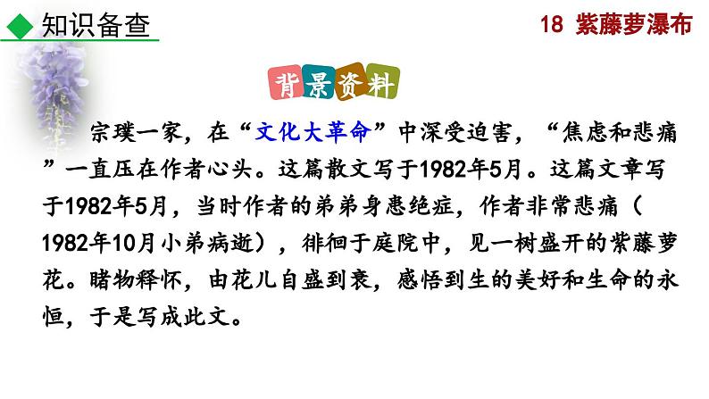 部编版语文18《紫藤萝瀑布》PPT课件第5页