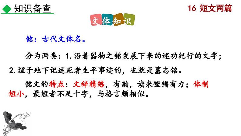 部编版语文17《短文两篇》PPT课件第3页