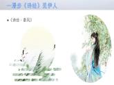 蒹葭   课件 初中语文人教版八年级下册