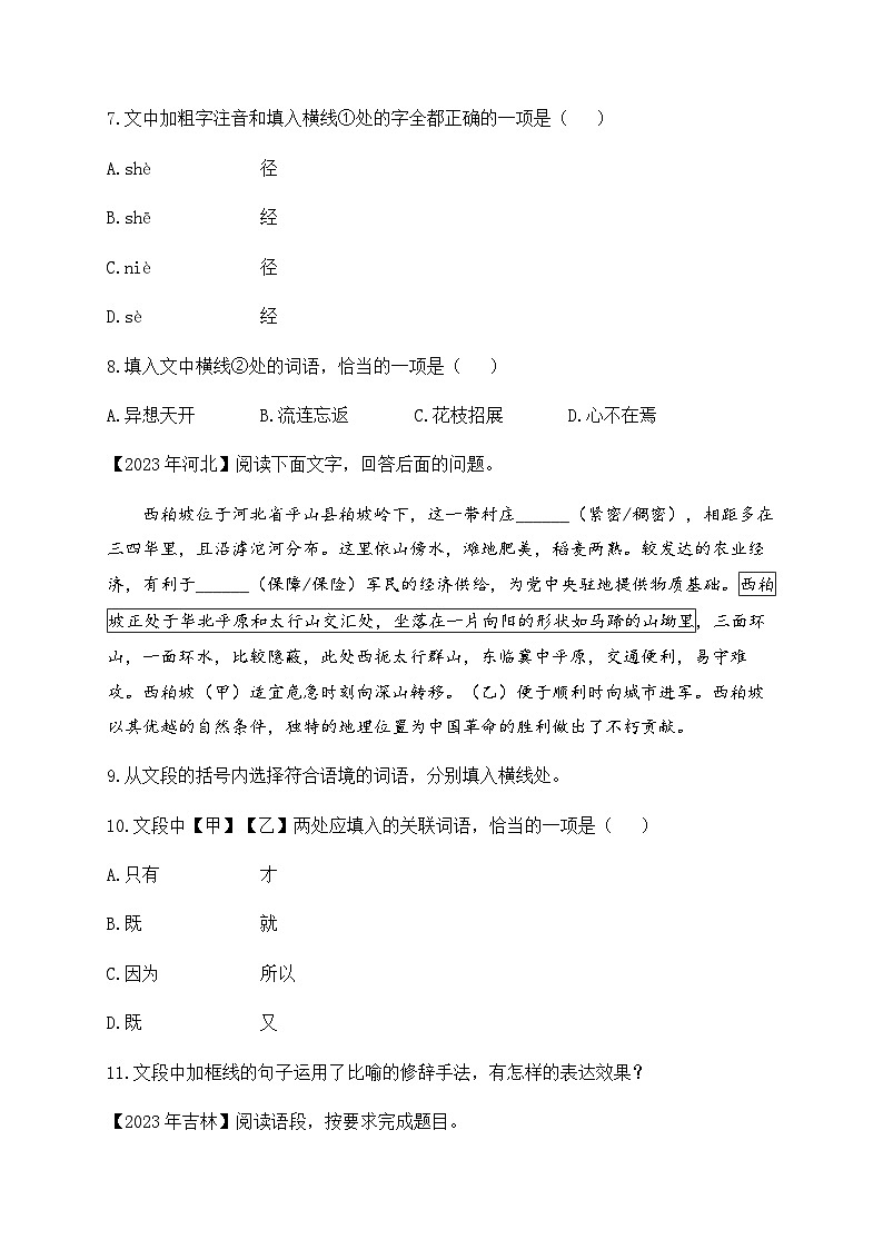 （1）字词——2023年中考语文真题专项汇编第3页