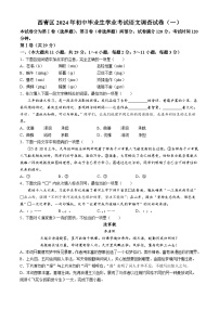 2024年天津市西青区中考一模语文试题(无答案)