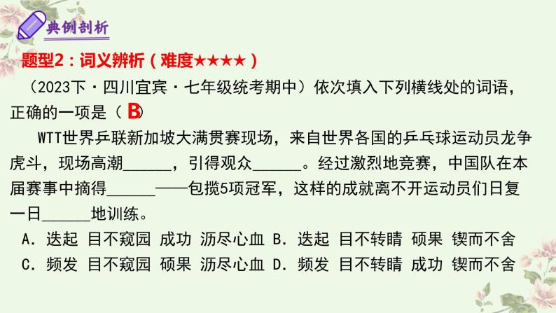 【期中讲练测】统编版七年级下册语文 专题02：词语理解运用（考点串讲）课件08