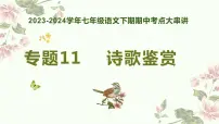 【期中讲练测】统编版七年级下册语文 专题11：诗歌鉴赏（考点串讲）课件