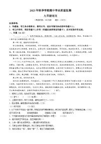 广西壮族自治区钦州市浦北县2023-2024学年九年级上学期期中语文试题