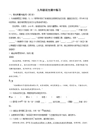 2024年安徽省合肥市第四十五中学中考一模语文试题（原卷版+解析版）