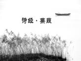 第12课《蒹葭》教学课件2023-2024学年统编版语文八年级下册
