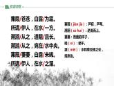 第12课《蒹葭》教学课件2023-2024学年统编版语文八年级下册