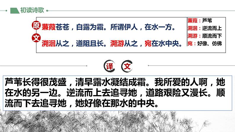 第12课《蒹葭》教学课件2023-2024学年统编版语文八年级下册第5页