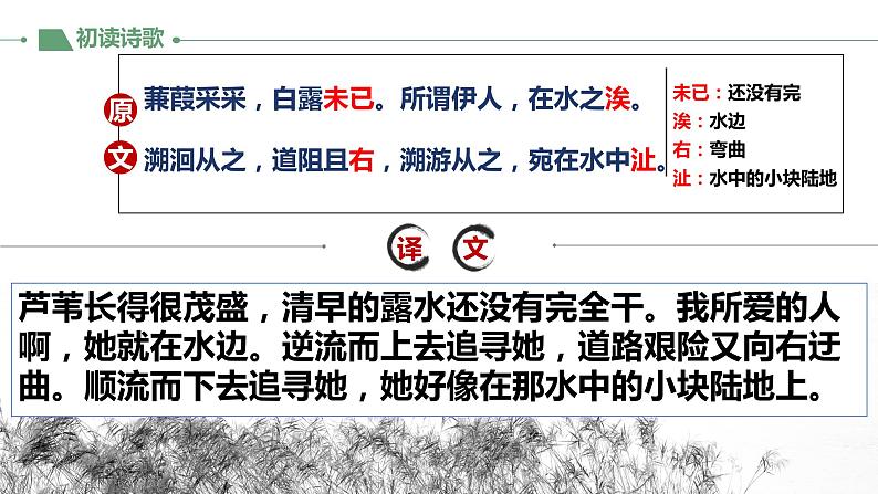 第12课《蒹葭》教学课件2023-2024学年统编版语文八年级下册第7页