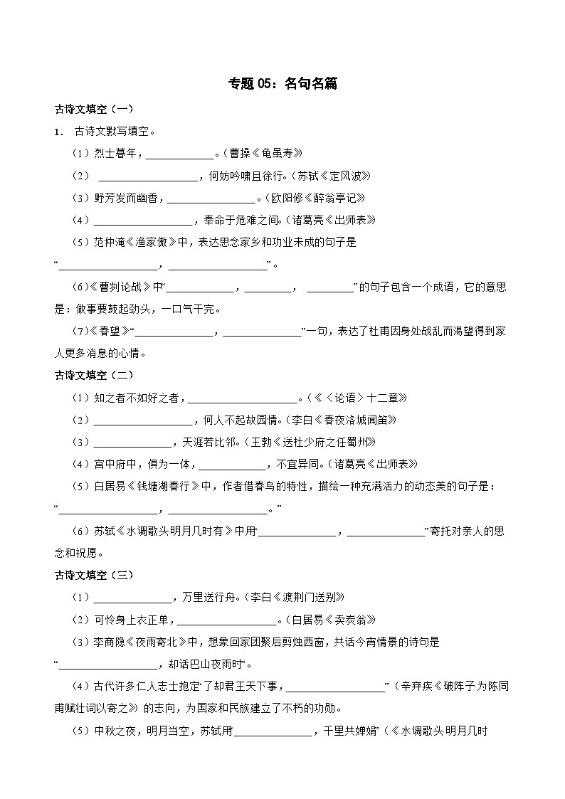 专题05：名句名篇-2023-2024学年中考语文专题复习备考（湖北专用）01