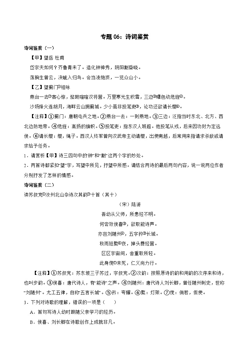 专题06：诗词鉴赏-2023-2024学年中考语文专题复习备考（湖北专用）01