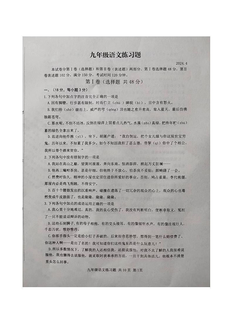 2024年山东省泰安市岱岳区中考一模语文试题01
