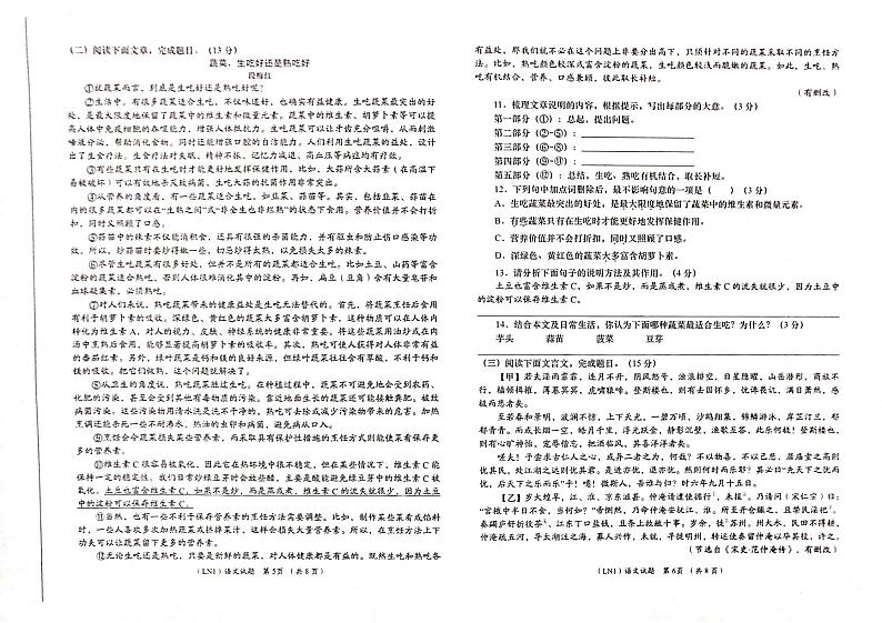 2024年甘肃省康县阳坝镇初级中学中考模拟语文试卷03