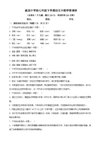 四川省内江市威远县威远中学校2023-2024学年七年级下学期期中语文试题（原卷版+解析版）
