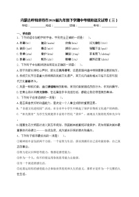 内蒙古呼和浩特市2024届九年级下学期中考模拟语文试卷（三）(含答案)