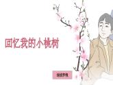 第19课《一棵小桃树》课件-2023-2024学年统编版语文七年级下册