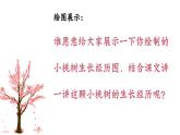 第19课《一棵小桃树》课件-2023-2024学年统编版语文七年级下册