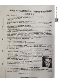 安徽省淮南市潘集区2023-2024学年八年级下学期期中语文试题