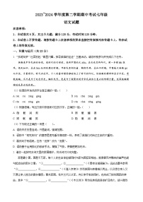河南省漯河市临颍县2023-2024学年七年级下学期期中语文试题（原卷版+解析版）