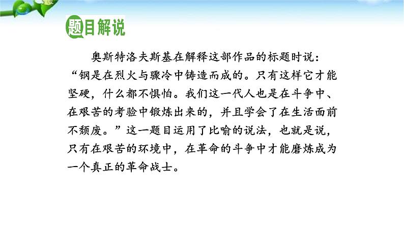 名著导读--钢铁是怎样炼成的PPT课件3第2页