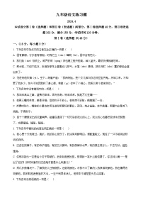 2024年山东省泰安市岱岳区中考一模语文试题（原卷版+解析版）