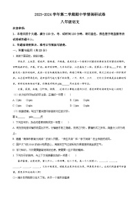 河南省周口市郸城县2023-2024学年八年级下学期期中语文试题（原卷版+解析版）