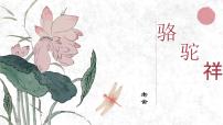 初中语文人教部编版七年级下册名著导读《骆驼祥子》：圈点与批注一等奖教学课件ppt
