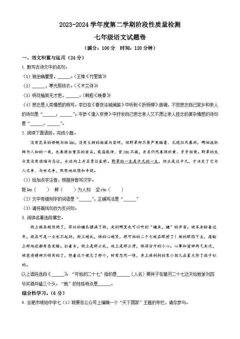 安徽省合肥市琥珀教育集团2023-2024学年七年级下学期期中语文试题（原卷版+解析版）01