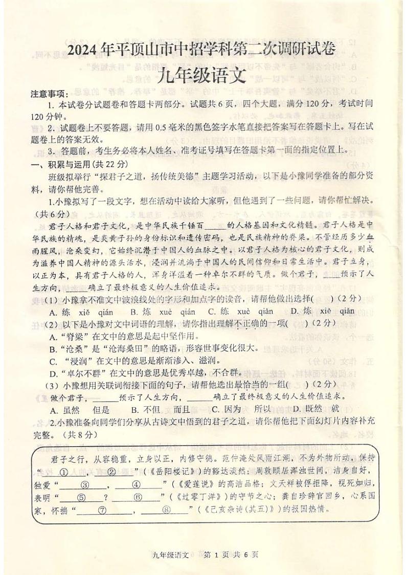 2024年河南省平顶山市中考二模语文试题01