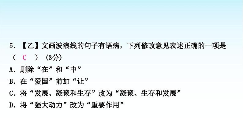 中考语文复习积累与运用专题一语段综合主题2革命文化课件第8页