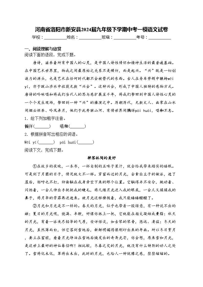 河南省洛阳市新安县2024届九年级下学期中考一模语文试卷(含答案)第1页