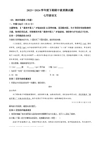河南省驻马店市泌阳县2023-2024学年七年级下学期期中语文试题（原卷版+解析版）