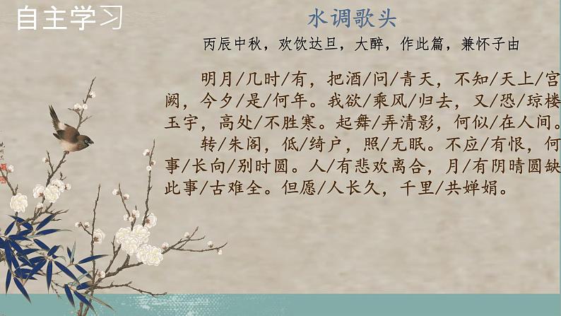 第14课《诗词三首——水调歌头》课件+2023—2024学年统编版语文九年级上册06