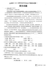 2024年山东省菏泽市东明县中考一模语文试题