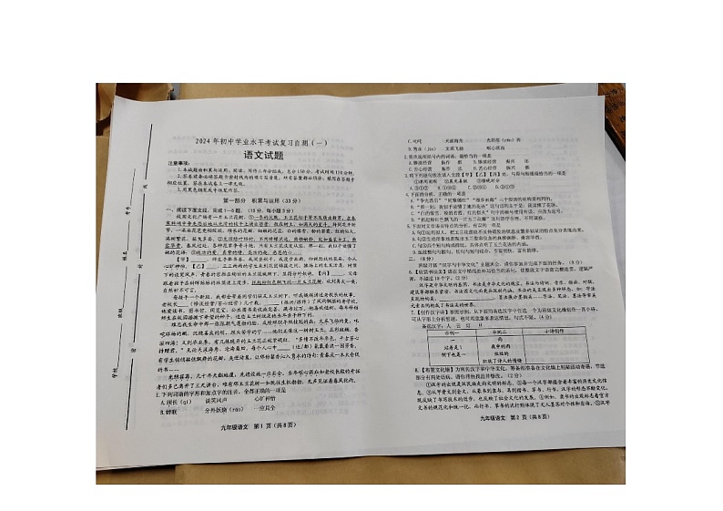 2024年山东省潍坊市昌邑市中考一模语文试题01