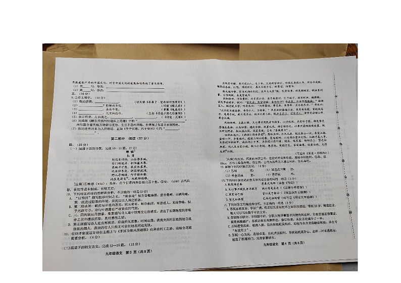 2024年山东省潍坊市昌邑市中考一模语文试题02