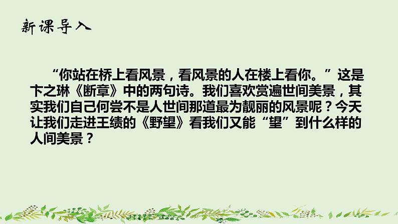 13《野望》ppt第1页