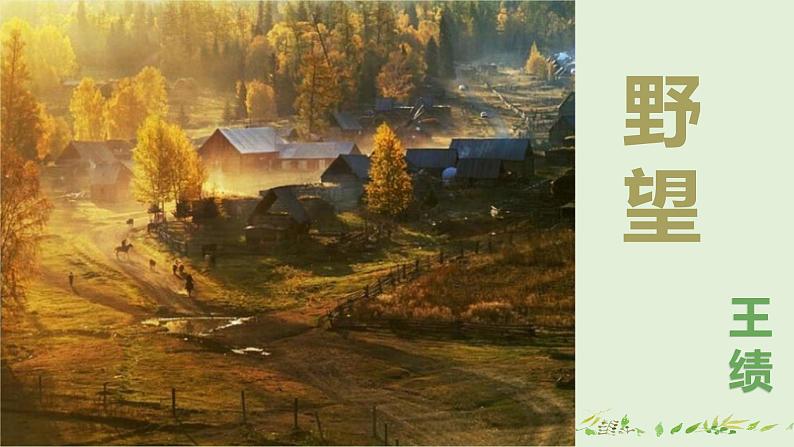 13《野望》ppt第2页