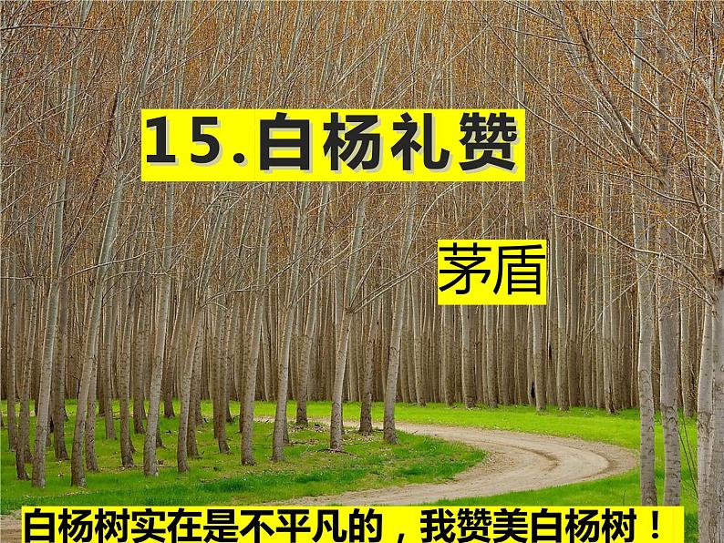 第15课《白杨礼赞》课件02