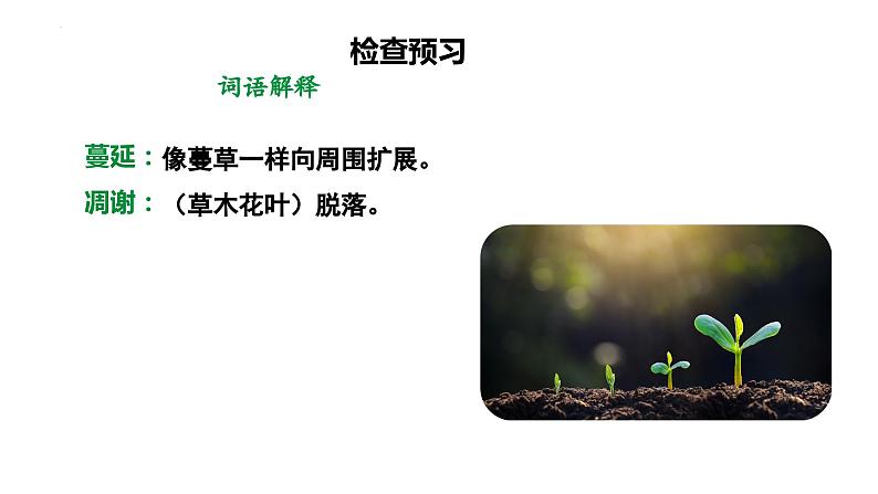 第16课《散文二篇——永久的生命》课件04